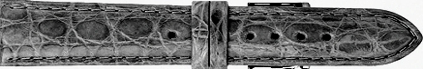 Genuine Crocodile Watch Strap 144 - Image 5