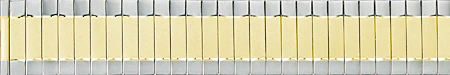 Straight End Expansion Watchband 3822