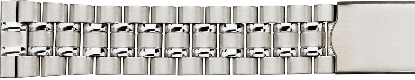 Stainless Steel Buckle Watchband 518